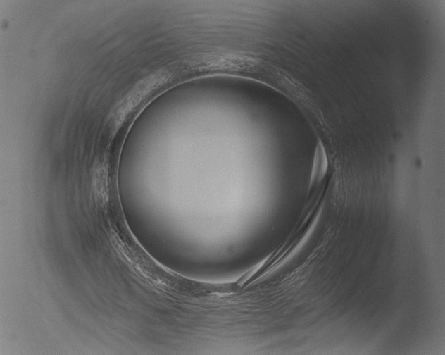 X0000053090578200507111200