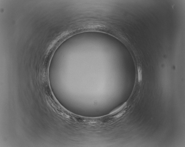 X0000053090579200507111200