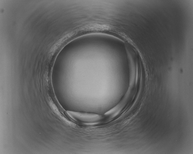 X0000053090581200507111200