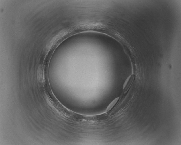 X0000053090582200507111200