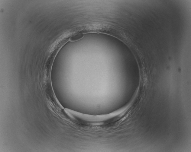 X0000053090583200507111200