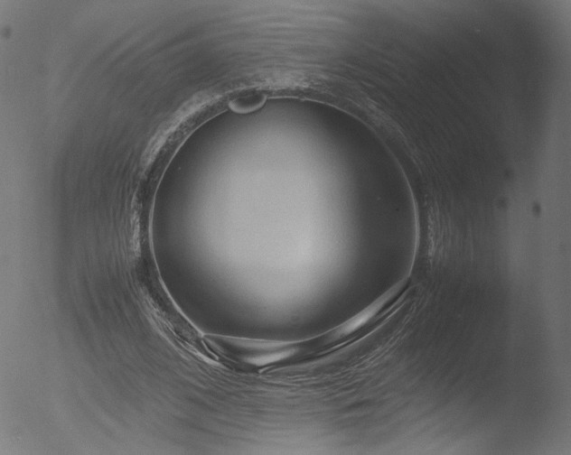 X0000053090584200507111200