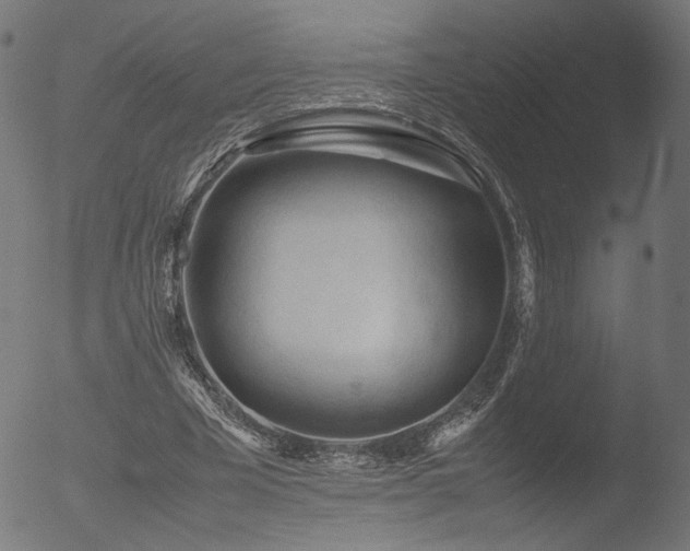 X0000053090585200507111200