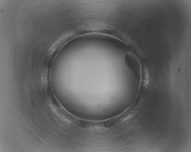 X0000053090586200507111200