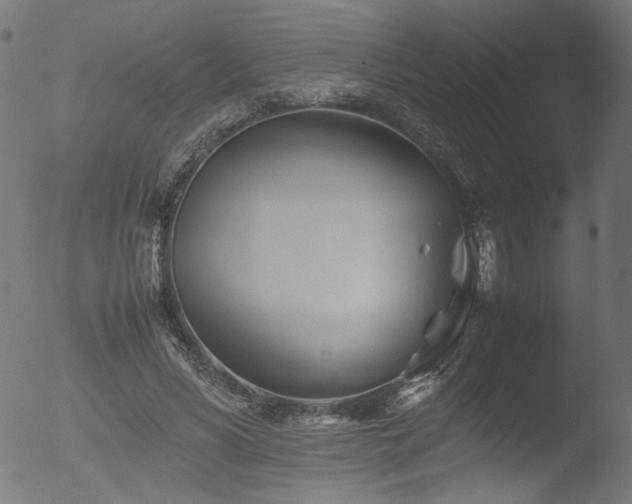 X0000053090590200507111159