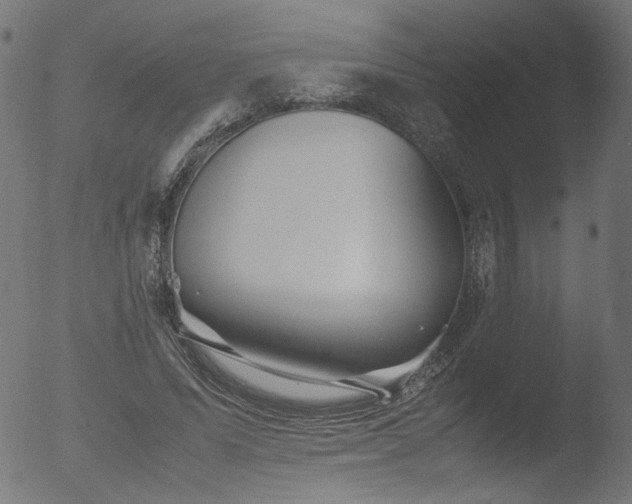 X0000053090591200507111159