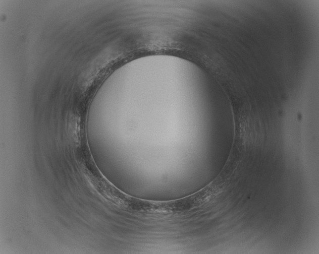 X0000053090592200507111159