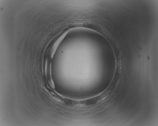 X0000053090593200507111159