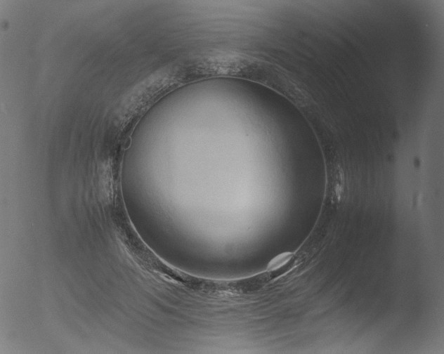 X0000053090594200507111159