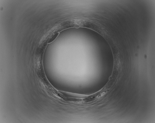 X0000053090595200507111159