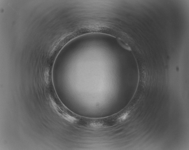 X0000053090596200507111159