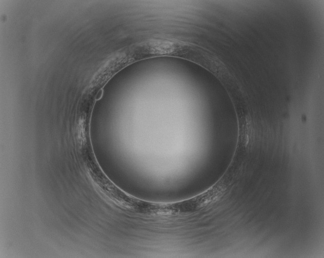 X0000053090598200507111159