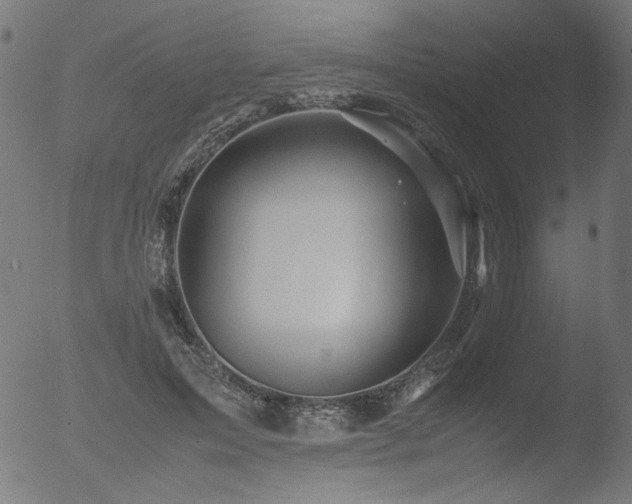 X0000053090599200507111159