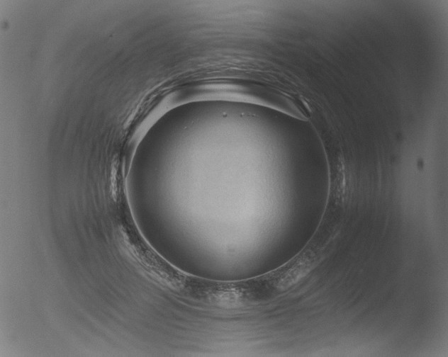 X0000053090600200507111159