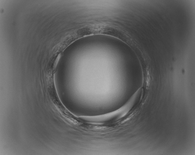 X0000053090601200507111159