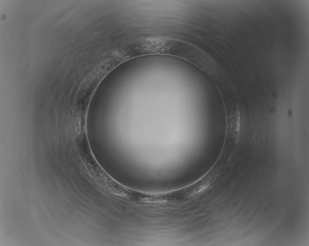 X0000053090602200507111159