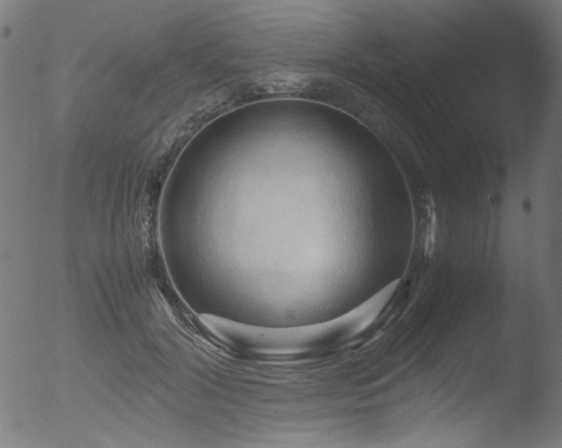 X0000053090604200507111159