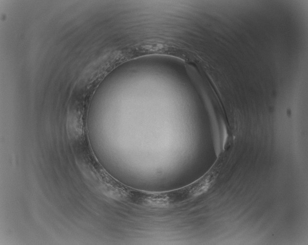 X0000053090606200507111159