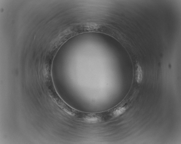 X0000053090608200507111159