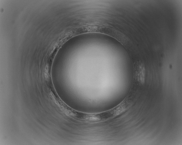 X0000053090610200507111159