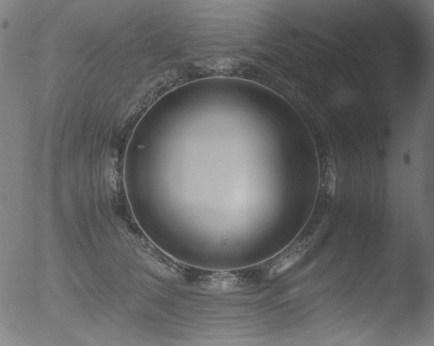 X0000053090612200507111159