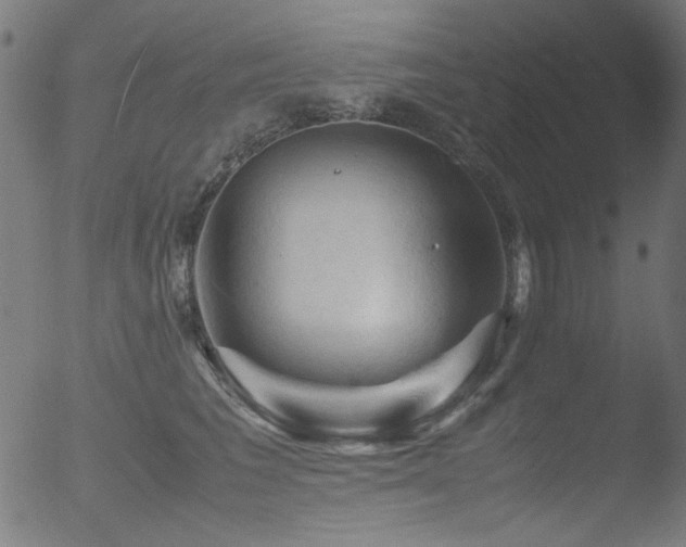 X0000053090613200507111159