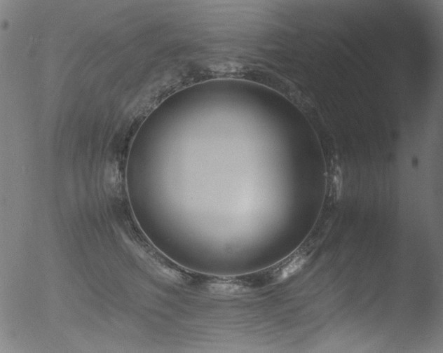 X0000053090614200507111159