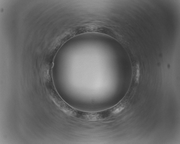 X0000053090615200507111159