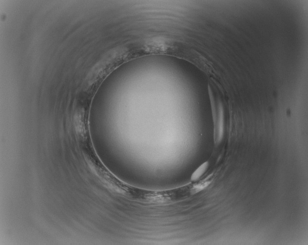 X0000053090616200507111159