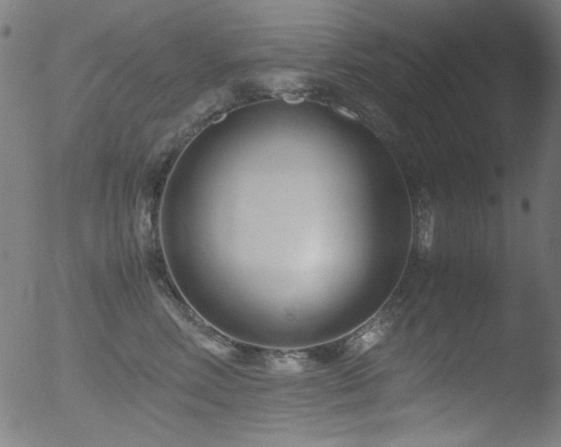 X0000053090618200507111159