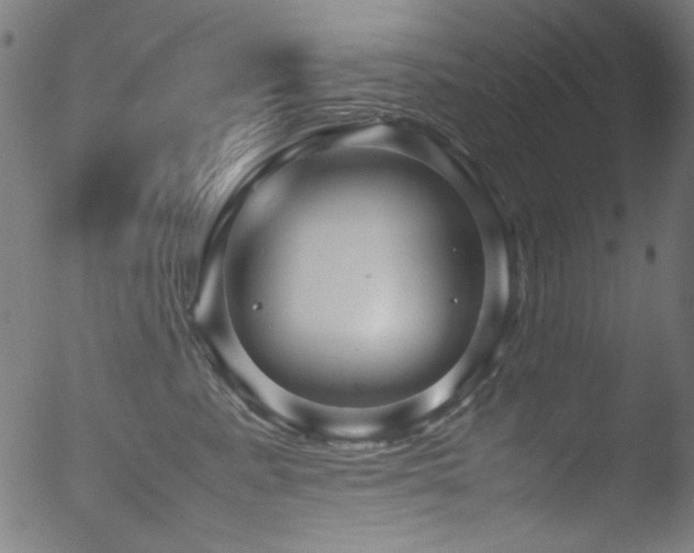 X0000053090619200507111159