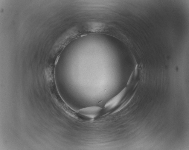 X0000053090620200507111159