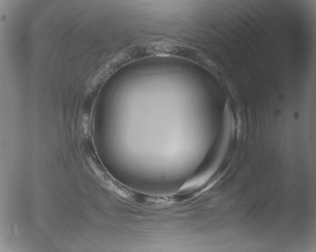 X0000053090621200507111159