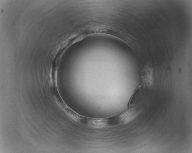 X0000053090622200507111159