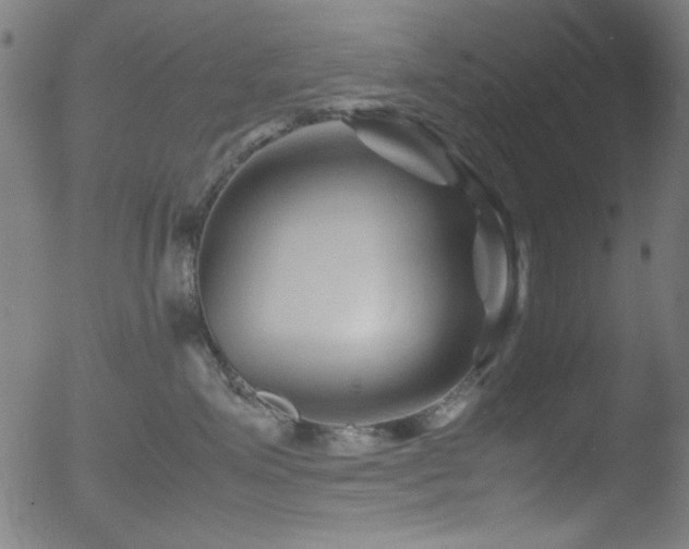 X0000053090623200507111159