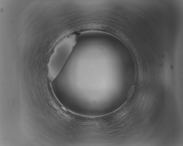 X0000053090625200507111158