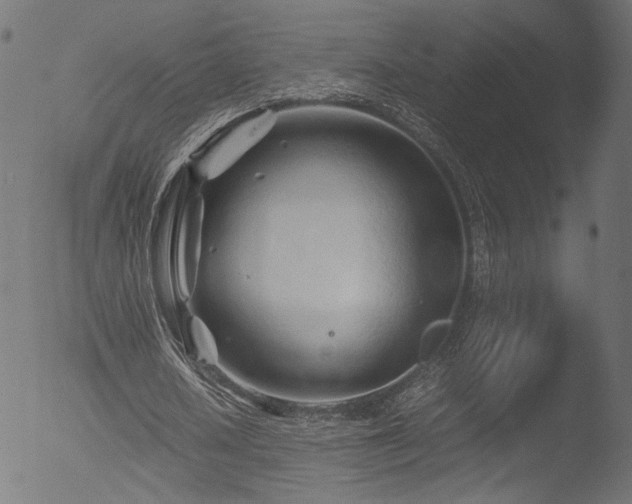 X0000053090626200507111158