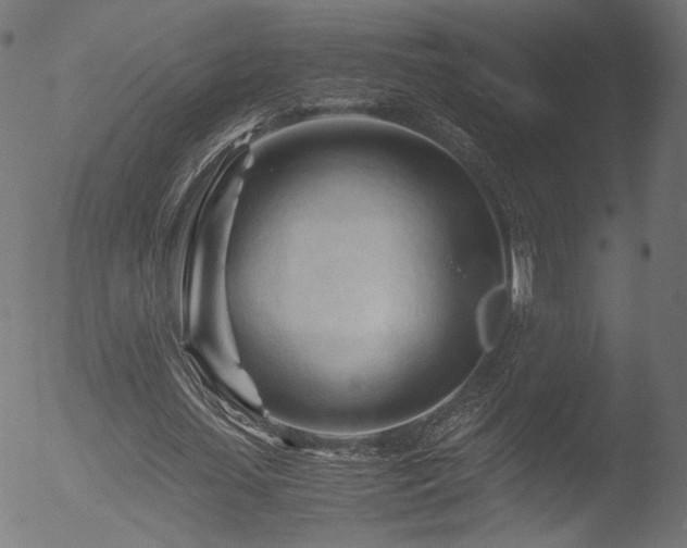 X0000053090627200507111158