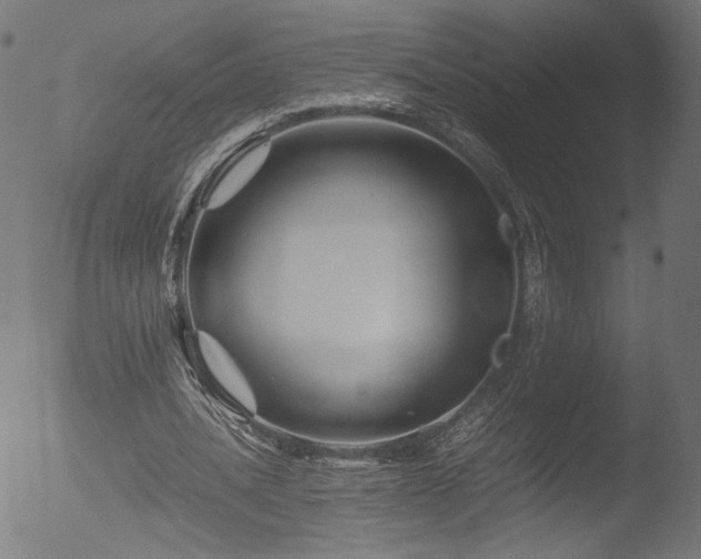 X0000053090628200507111158