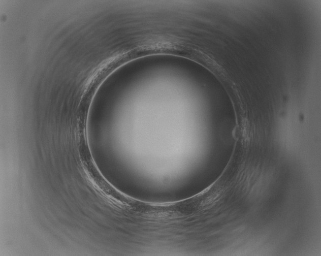 X0000053090629200507111158