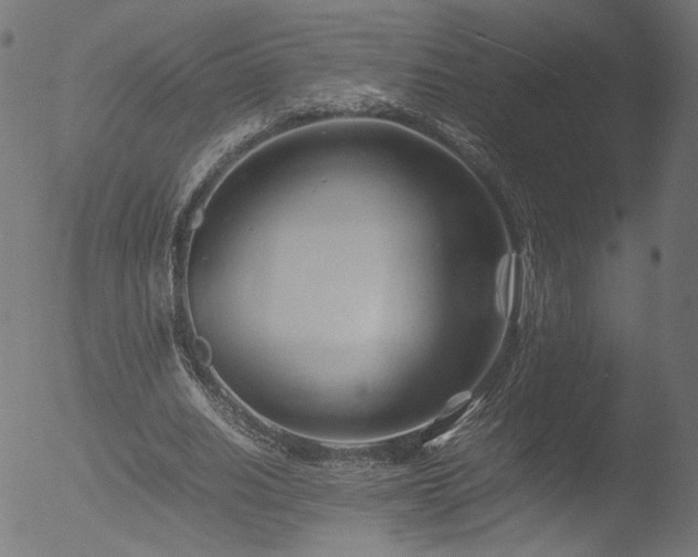 X0000053090630200507111158