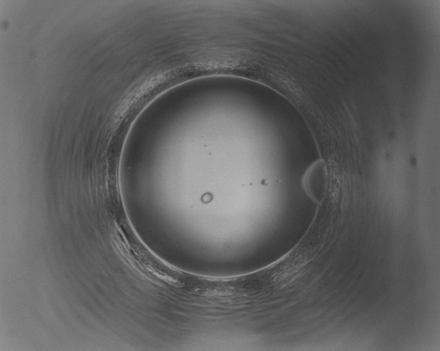 X0000053090631200507111158