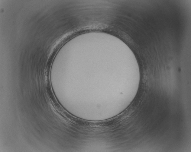 X0000053090632200507111158