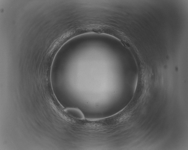 X0000053090633200507111158