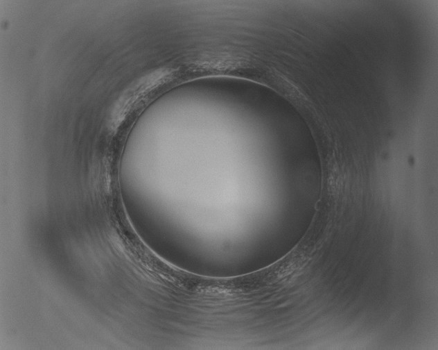 X0000053090635200507111158