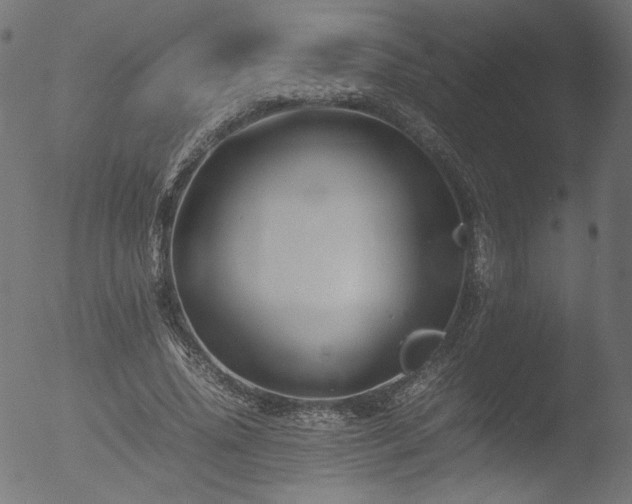 X0000053090636200507111158