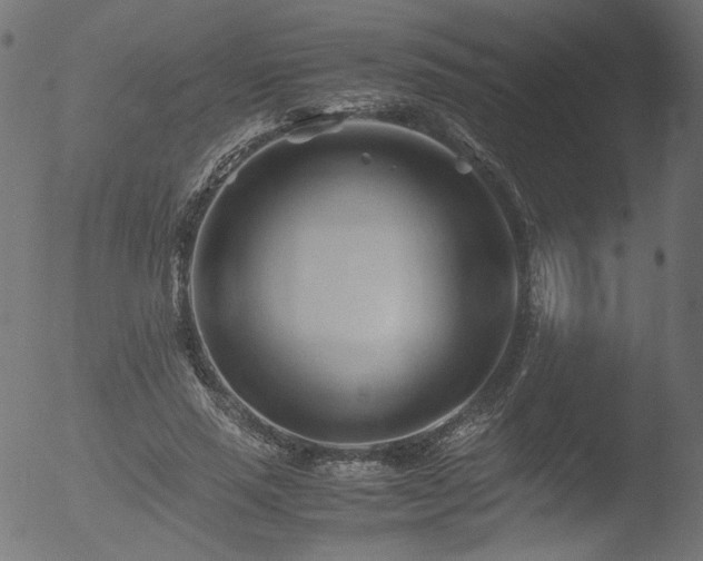 X0000053090637200507111158