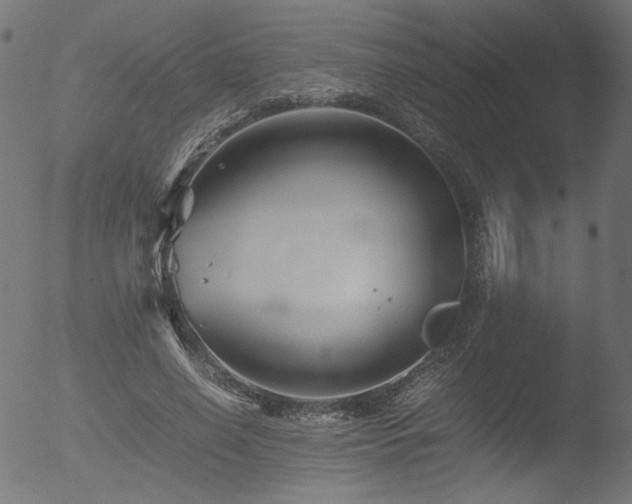 X0000053090638200507111158