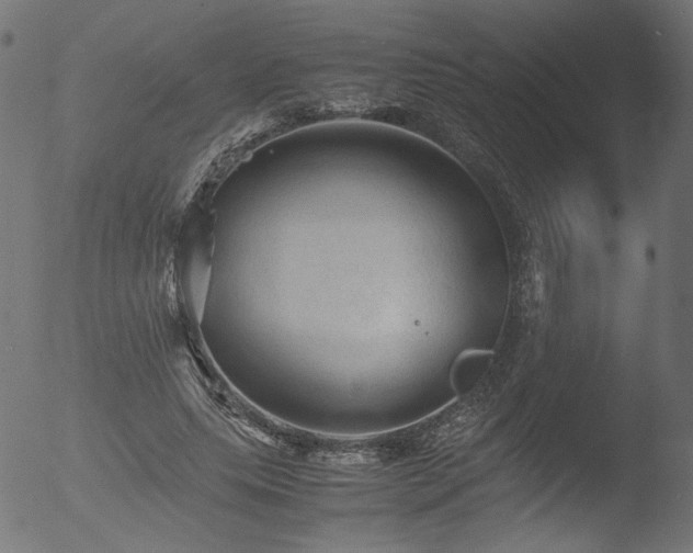 X0000053090639200507111158