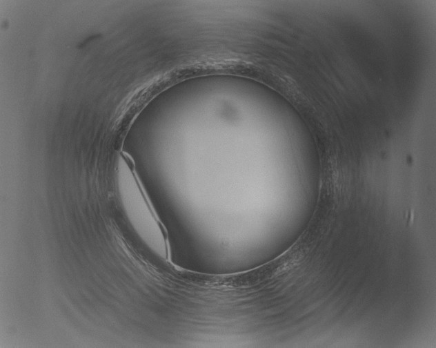 X0000053090640200507111158